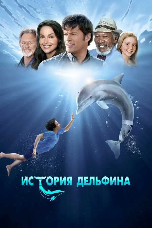 История дельфина История дельфина