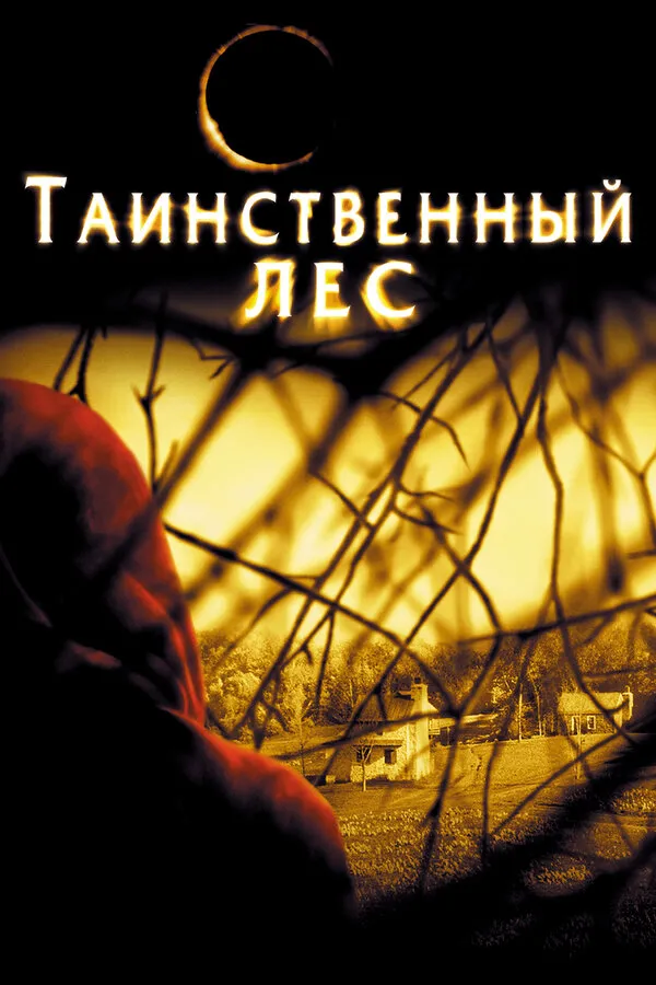 Таинственный лес Таинственный лес