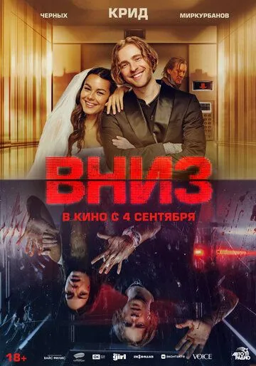 Вниз Вниз