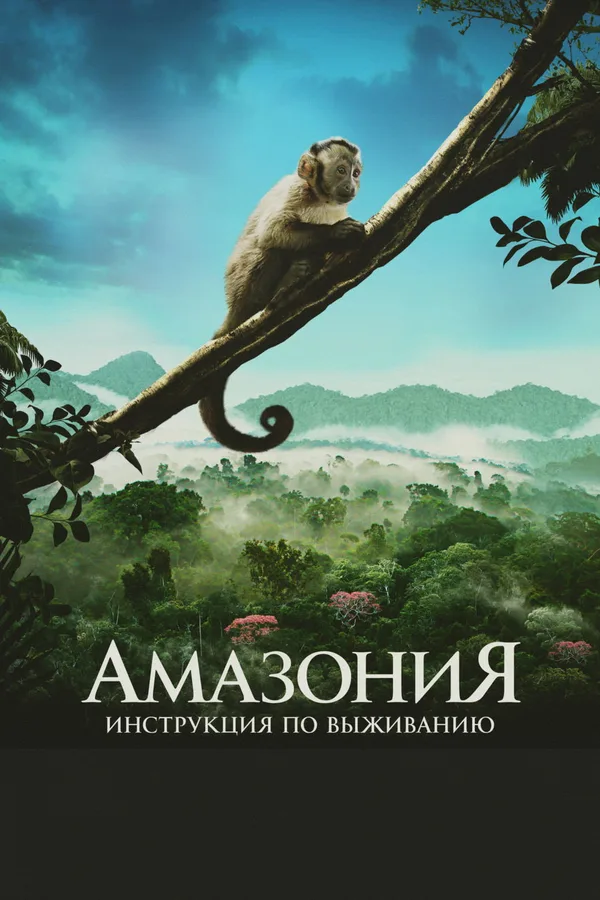 Амазония
