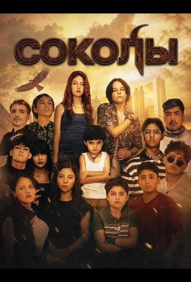 Соколы